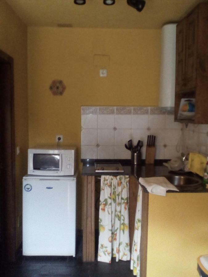 Apartamento Rural El Oso 2 Guest House Pola de Somiedo Bagian luar foto